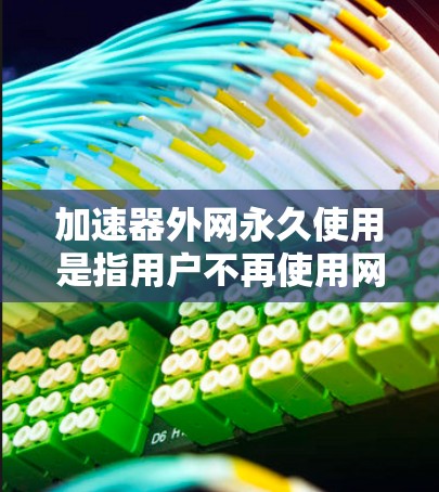 加速器外网永久使用是指用户不再使用网络加速功能,只使用本地加速器来提升下载速度。以下是对加速器外网永久使用的详细说明