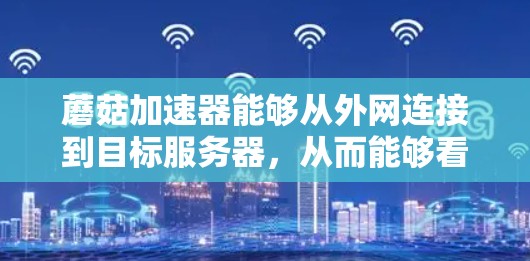 蘑菇加速器能够从外网连接到目标服务器,从而能够看外网。以下是详细的步骤和注意事项