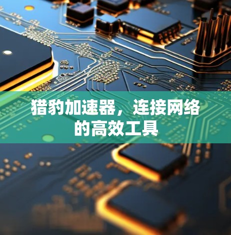 猎豹加速器，连接网络的高效工具
