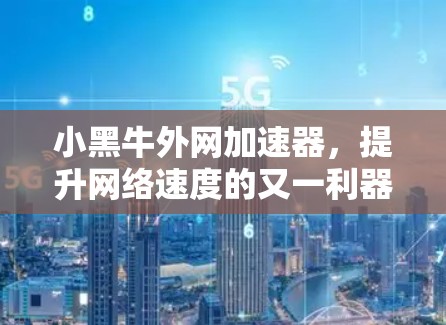 小黑牛外网加速器,提升网络速度的又一利器