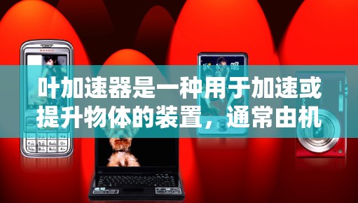 叶加速器是一种用于加速或提升物体的装置,通常由机械、电子或生物组件组成。外网梯子可能指的是用于加速或提升的辅助工具,如带网的梯子或自动化装置。以下是一些关于叶加速器外网梯子的具体信息