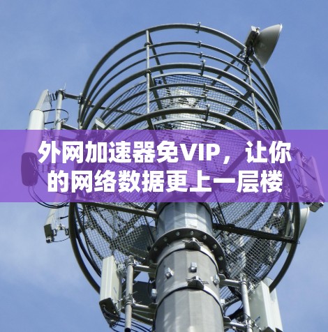 外网加速器免VIP，让你的网络数据更上一层楼