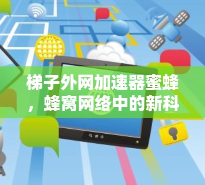 梯子外网加速器蜜蜂，蜂窝网络中的新科技