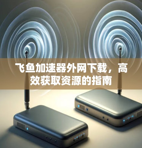 飞鱼加速器外网下载,高效获取资源的指南