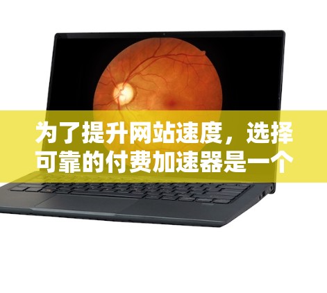 为了提升网站速度，选择可靠的付费加速器是一个好的选择。以下是一个综合考虑的因素和推荐列表，帮助你找到合适的平台