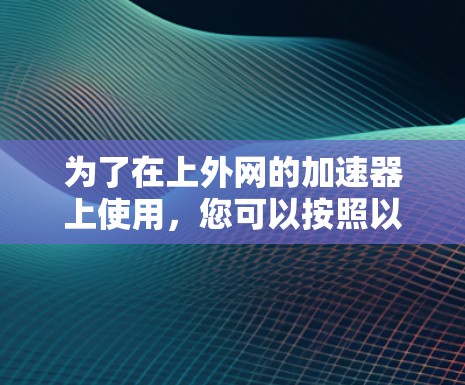 为了在上外网的加速器上使用，您可以按照以下步骤操作