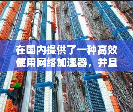 在国内提供了一种高效使用网络加速器，并且能够连接到国外网络的解决方案。以下是一些方法和工具，帮助您实现这一目标