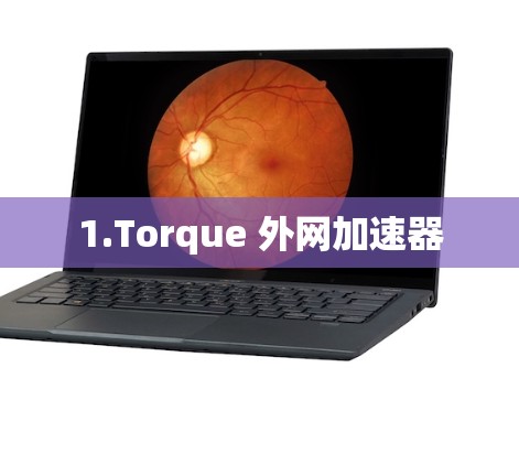 1.Torque 外网加速器