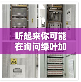 听起来你可能在询问绿叶加速器这个词或相关的工具或服务。如果你指的是一个特定的加速器或工具，可能需要更多信息来提供准确的帮助。以下是关于绿叶加速器的一些常见信息，供你参考