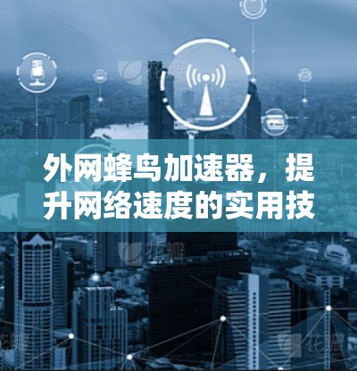 外网蜂鸟加速器,提升网络速度的实用技巧 外网蜂鸟加速器,提升网络速度的实用技巧