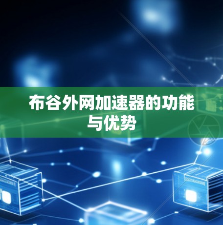 布谷外网加速器的功能与优势