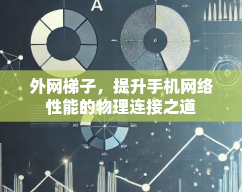 外网梯子,提升手机网络性能的物理连接之道 外网梯子,提升手机网络性能的物理连接之道