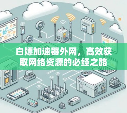 白嫖加速器外网，高效获取网络资源的必经之路