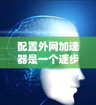 配置外网加速器是一个逐步过程，需要仔细规划各个参数以优化下载速度和确保数据安全。以下是一个清晰的步骤指南