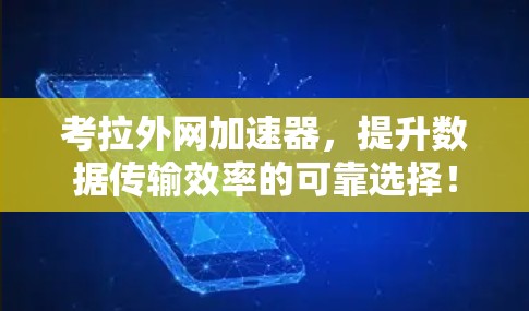 考拉外网加速器，提升数据传输效率的可靠选择！
