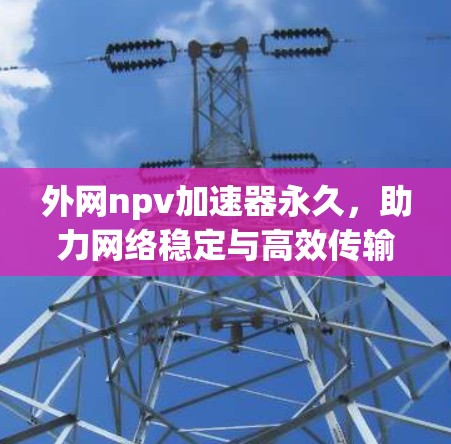 外网npv加速器永久，助力网络稳定与高效传输