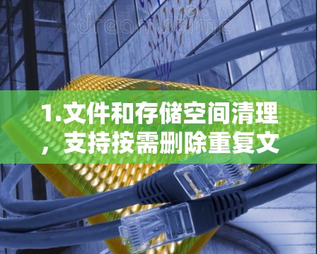 1.文件和存储空间清理,支持按需删除重复文件和存储空间,确保数据无冗余 1.文件和存储空间清理,支持按需删除重复文件和存储空间,确保数据无冗余