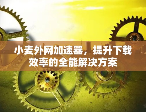 小麦外网加速器，提升下载效率的全能解决方案