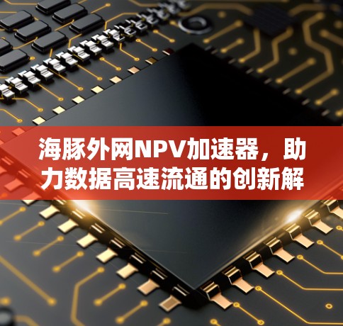 海豚外网NPV加速器，助力数据高速流通的创新解决方案