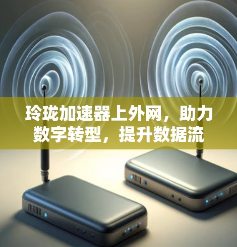玲珑加速器上外网，助力数字转型，提升数据流效率