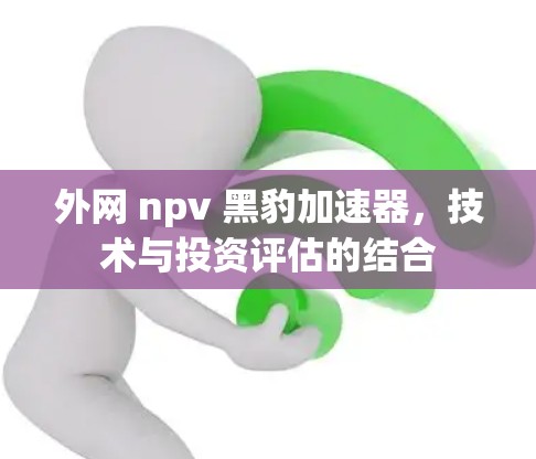外网 npv 黑豹加速器,技术与投资评估的结合 外网 npv 黑豹加速器,技术与投资评估的结合