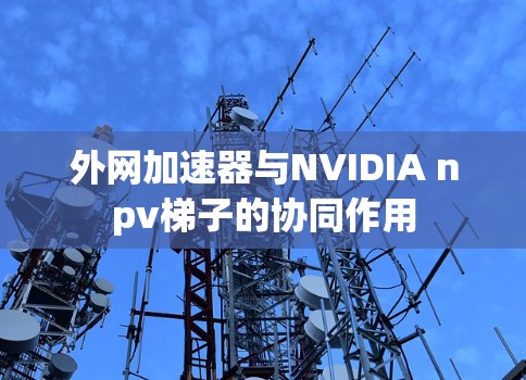 外网加速器与NVIDIA npv梯子的协同作用 外网加速器与NVIDIA npv梯子的协同作用