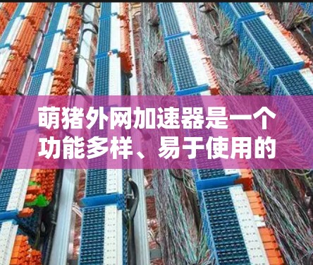 萌猪外网加速器是一个功能多样、易于使用的网络加速工具,旨在帮助用户更快地访问互联网资源。以下是对这个工具的详细分析 萌猪外网加速器是一个功能多样、易于使用的网络加速工具,旨在帮助用户更快地访问互联网资源。以下是对这个工具的详细分析