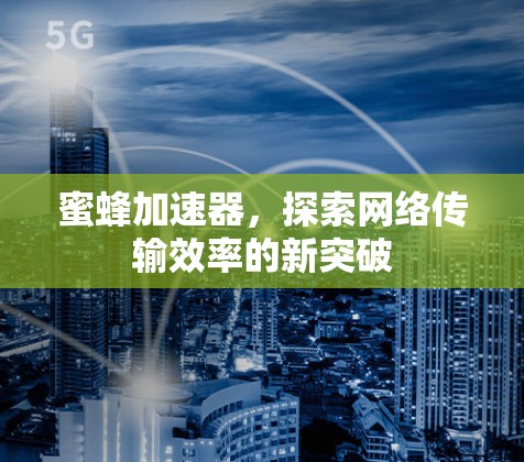 蜜蜂加速器,探索网络传输效率的新突破 蜜蜂加速器,探索网络传输效率的新突破