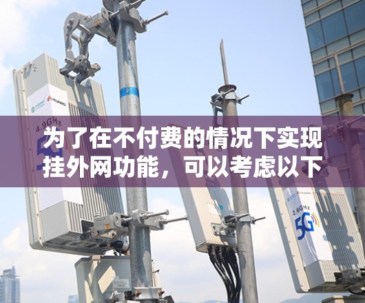 为了在不付费的情况下实现挂外网功能，可以考虑以下步骤