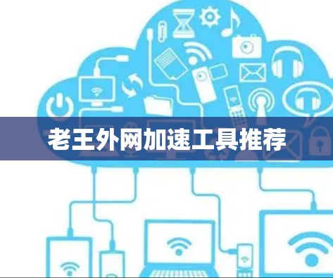 老王外网加速工具推荐 老王外网加速工具推荐