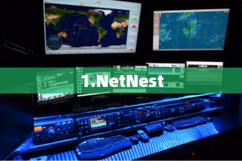 1.NetNest 1.NetNest