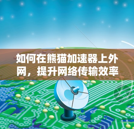 如何在熊猫加速器上外网,提升网络传输效率的实用指南 如何在熊猫加速器上外网,提升网络传输效率的实用指南