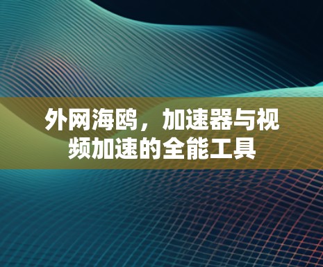 外网海鸥，加速器与视频加速的全能工具