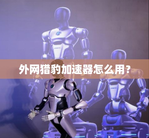 外网猎豹加速器怎么用？