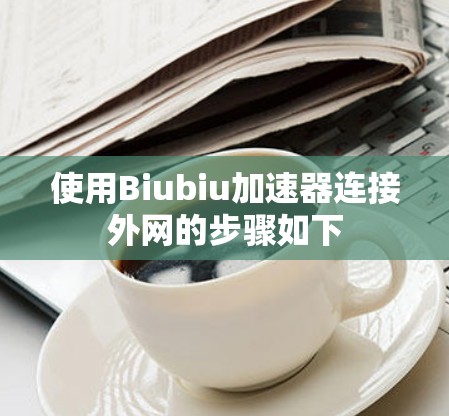 使用Biubiu加速器连接外网的步骤如下 使用Biubiu加速器连接外网的步骤如下
