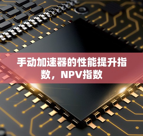 手动加速器的性能提升指数,NPV指数 手动加速器的性能提升指数,NPV指数