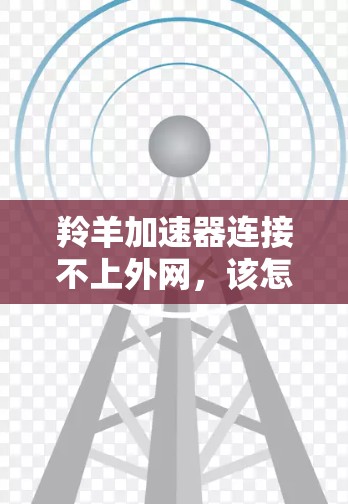 羚羊加速器连接不上外网，该怎么办？
