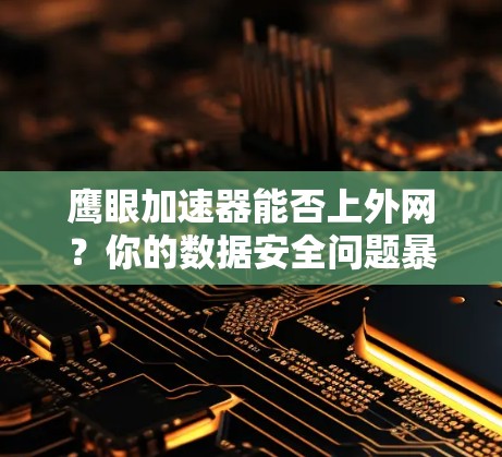 鹰眼加速器能否上外网？你的数据安全问题暴露在了哪些网络上？