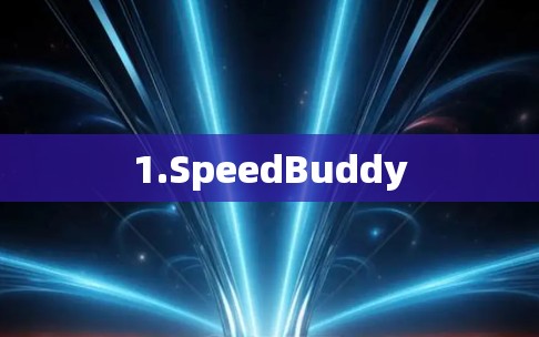 1.SpeedBuddy