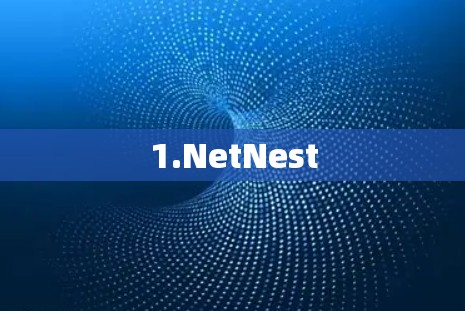 1.NetNest 1.NetNest