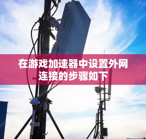 在游戏加速器中设置外网连接的步骤如下