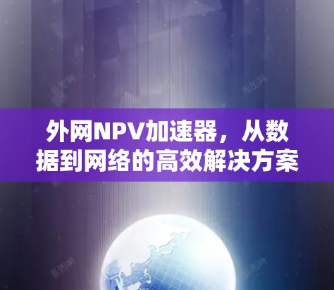 外网NPV加速器,从数据到网络的高效解决方案 外网NPV加速器,从数据到网络的高效解决方案