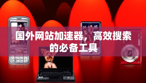 国外网站加速器，高效搜索的必备工具