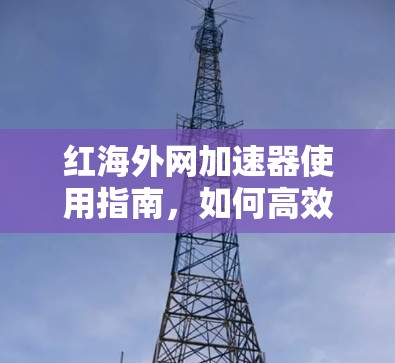 红海外网加速器使用指南，如何高效访问海外网络