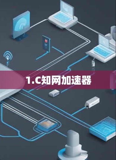 1.C知网加速器 1.C知网加速器