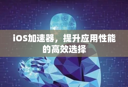 iOS加速器,提升应用性能的高效选择 iOS加速器,提升应用性能的高效选择