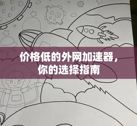 价格低的外网加速器，你的选择指南