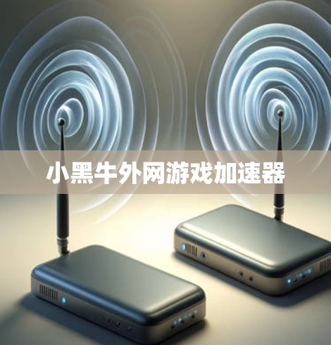 小黑牛外网游戏加速器 小黑牛外网游戏加速器