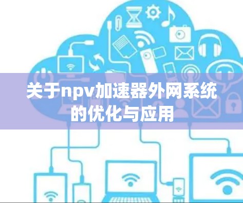 关于npv加速器外网系统的优化与应用 关于npv加速器外网系统的优化与应用