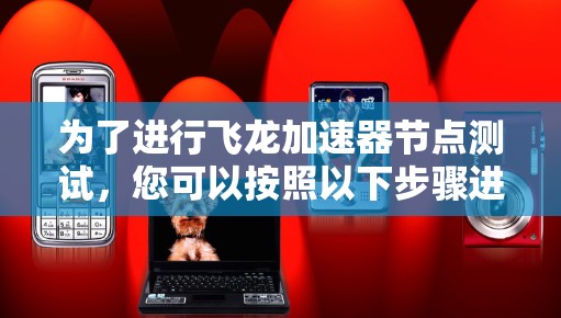 为了进行飞龙加速器节点测试，您可以按照以下步骤进行